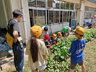 八木北小学校でのゴーヤの育て方講習会