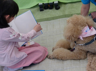 おおたかの森こども図書館 わんわん読書会 秋の回