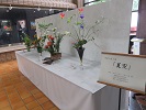 四季の花々展「夏空」開催の様子