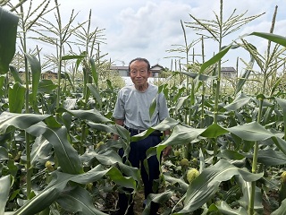 公立保育所で流山産とうもろこしを提供
