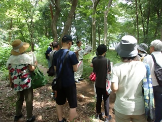 森の図書館 「夏休み古墳探検 東深井古墳群を探検しよう」