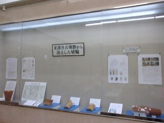 森の図書館 「夏休み古墳探検 東深井古墳群を探検しよう」