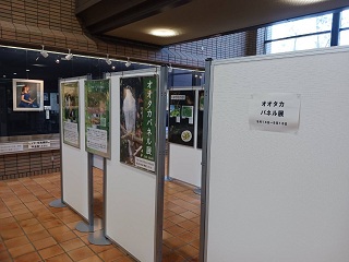 市の鳥オオタカパネル展の写真