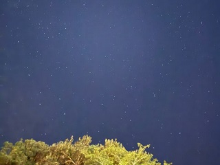 チャレンジキャンプの様子