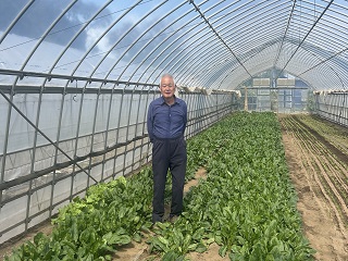 公立保育所で流山産ほうれん草を提供