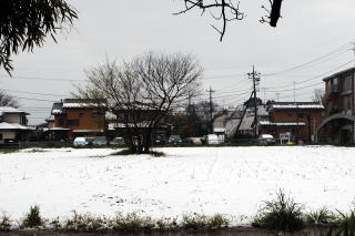 畑は1面雪景色に