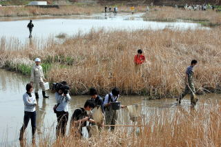 江戸川大学の学生たちも参加しての調査の写真