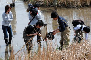 生き物調査の写真