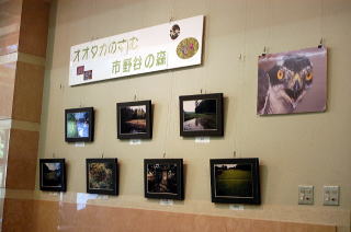 市野谷の森写真展の写真