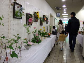 生け花の展示の写真