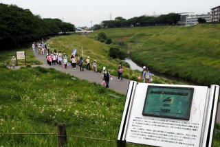 今年11回目の利根運河ウオークの写真