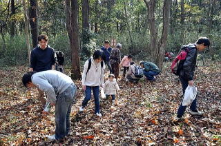 市野谷の森でどんぐり探しの様子の写真