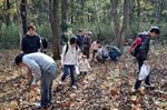 市野谷の森でどんぐり探しの様子の写真