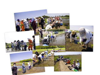 来年も流山で行います