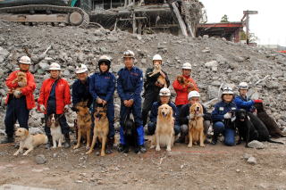 救助犬協会の皆さんの写真