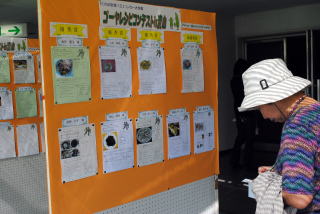 寄せられたレシピを展示