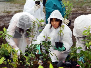 雨の中の植樹の様子の写真