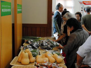 採れたれ地元野菜の写真