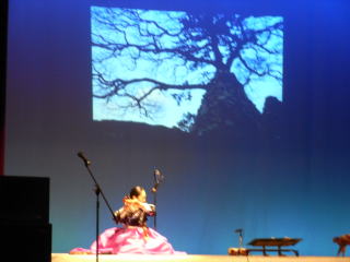 スクリーンに映しながら演奏の写真