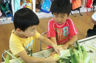 力いっぱいひっぱって