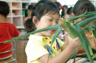 地元産のとうもろこし