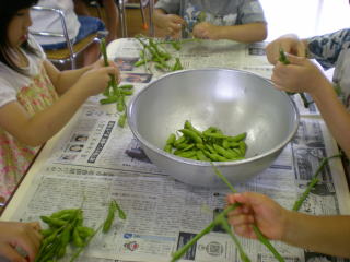 枝豆を枝から外しました