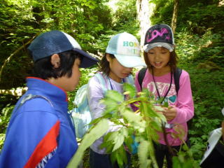 自然豊かな里山を探検の写真