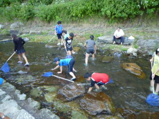 ヤマメのつかみ捕り体験の写真