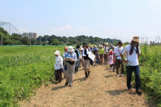 猛暑の中30人が参加の大堀川自然観察ツアーの写真