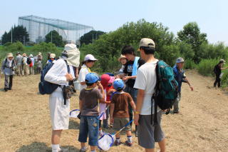 江戸川大学エコネット愛好会のガイドでツアーの様子の写真