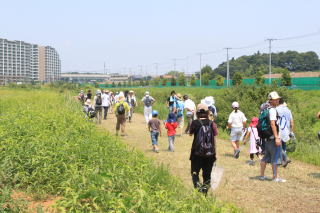 大堀川自然観察ツアーの写真