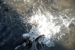 バシャバシャと水しぶきをあげて