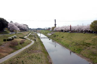 これからは新緑の時期を