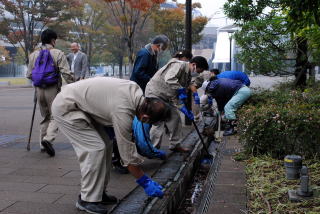 側溝もきれいに