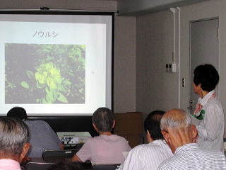 植物の基礎についての説明