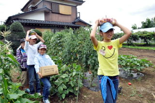 近くの畑で食材を調達している写真