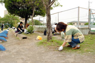 丁寧に草取り