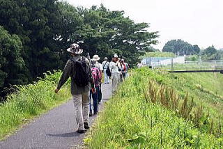 初夏の利根運河めぐり