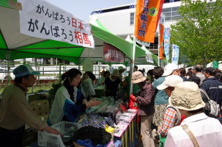 がんばろう日本がんばろう相馬