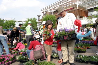 例年大人気の花ポットの販売