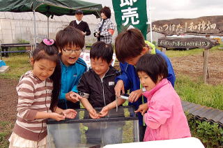 カエルやザリガニの小動物が人気