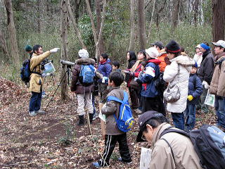 市野谷の森の中で探索の写真