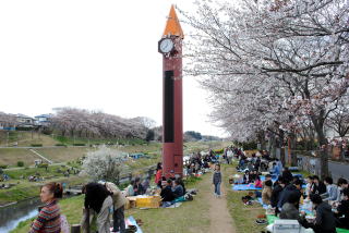 花見客で賑わう利根運河