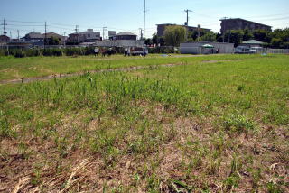 広い敷地は2週間ほどかけて行います