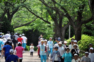 公園内のコースをウォーキング