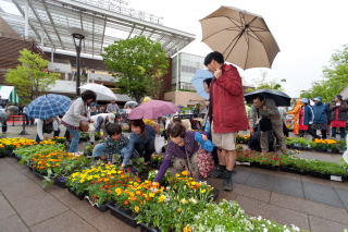 雨が降ってきてしまいました