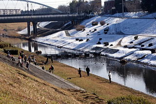 雪の残る利根運河