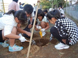 グリーンウェイブの植樹を流山北小学校で