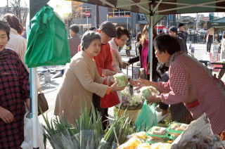 新鮮野菜の販売
