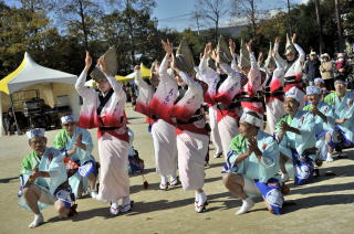 阿波踊り